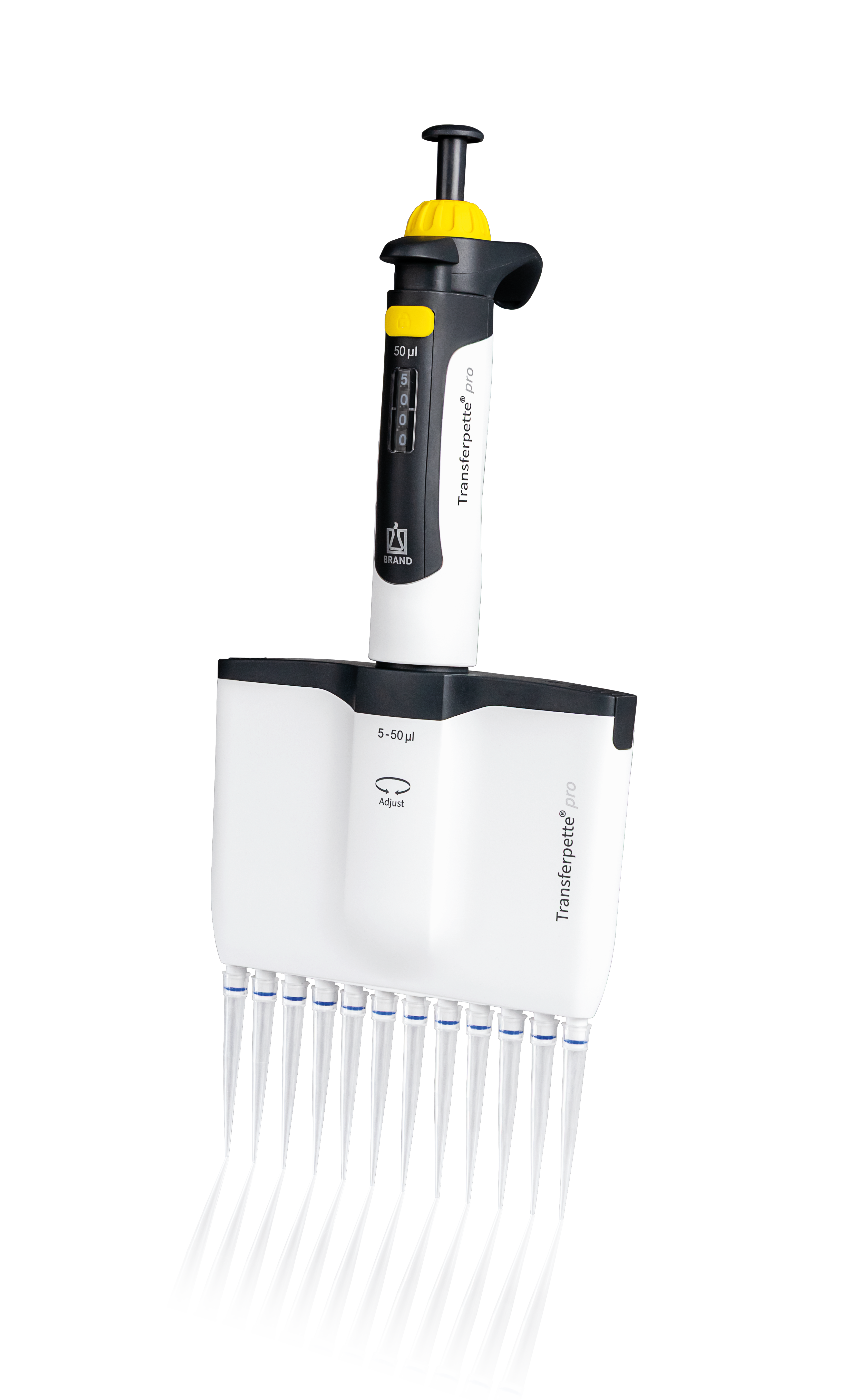 Transferpette Pro 12-Channel 5-50 µL