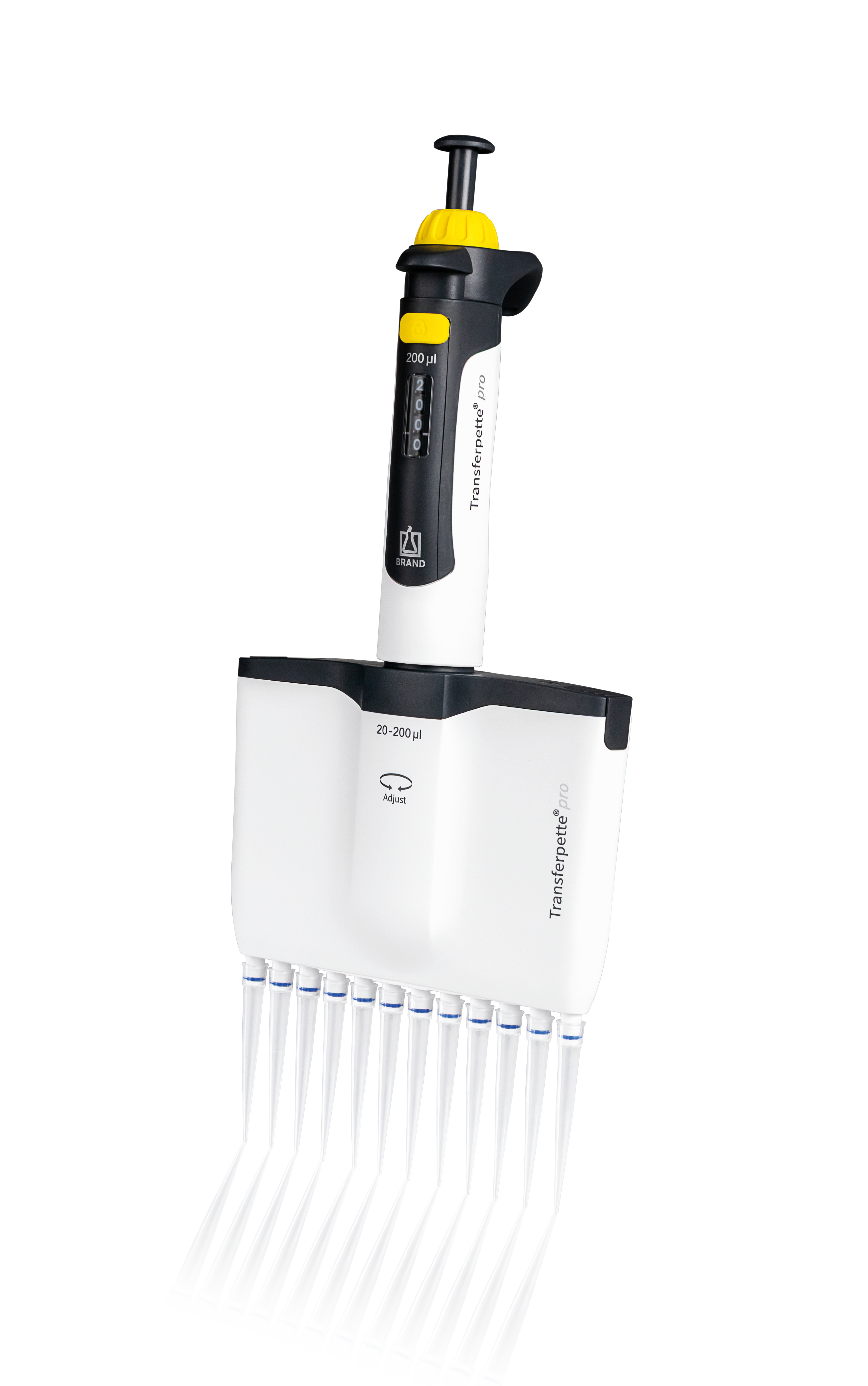 Transferpette Pro 12-Channel 20-200 µL